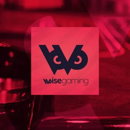 Wisegaming Gambling Platform